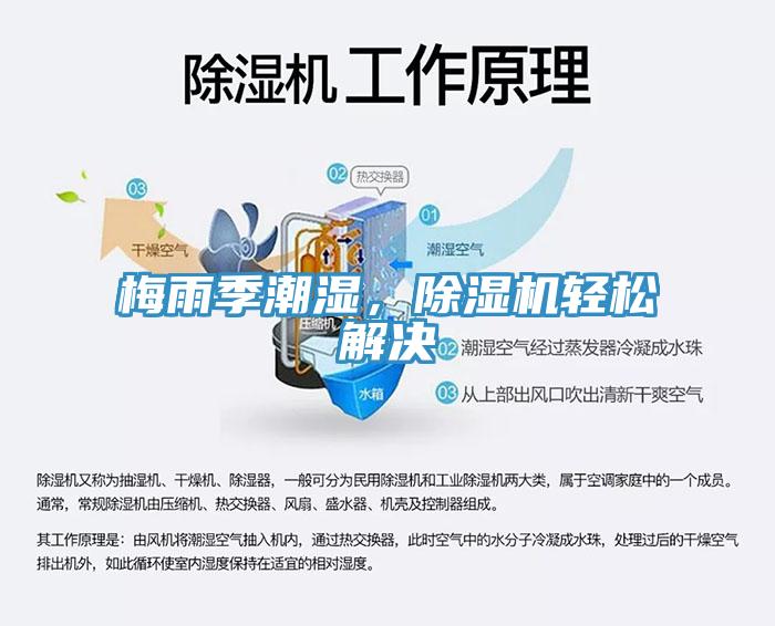 梅雨季潮濕，除濕機(jī)輕松解決
