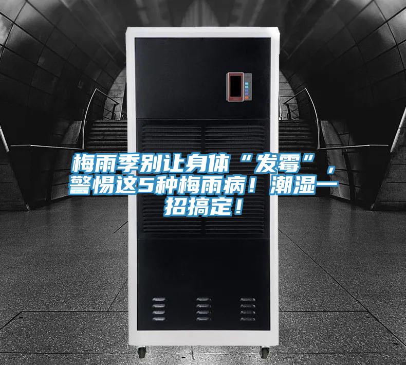 梅雨季別讓身體“發(fā)霉”，警惕這5種梅雨??！潮濕一招搞定！