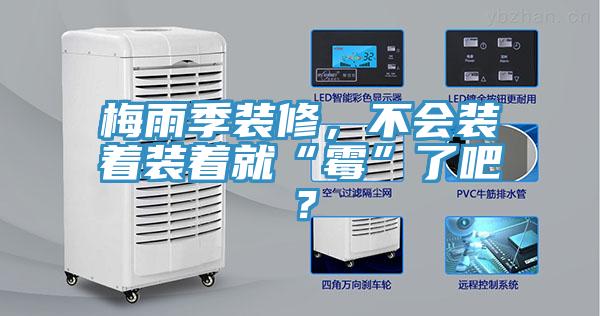 梅雨季裝修，不會(huì)裝著裝著就“霉”了吧？