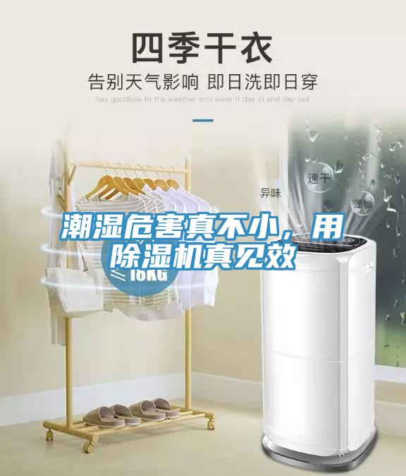潮濕危害真不小，用除濕機(jī)真見效