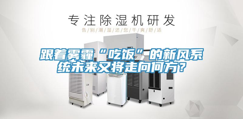 跟著霧霾“吃飯”的新風(fēng)系統(tǒng)未來又將走向何方？