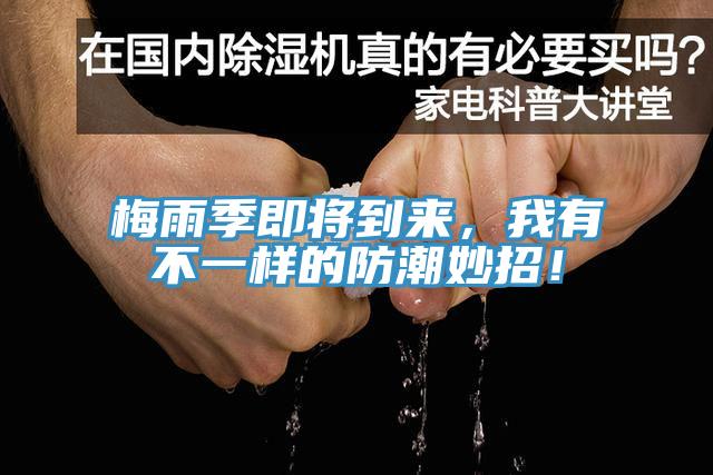 梅雨季即將到來，我有不一樣的防潮妙招！