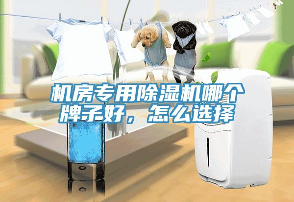 機(jī)房專(zhuān)用除濕機(jī)哪個(gè)牌子好，怎么選擇