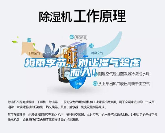 梅雨季節(jié)，別讓濕氣趁虛而入！