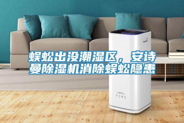 蜈蚣出沒潮濕區(qū)，安詩曼除濕機消除蜈蚣隱患