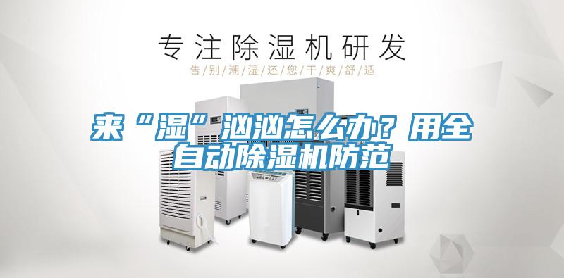 來(lái)“濕”洶洶怎么辦？用全自動(dòng)除濕機(jī)防范