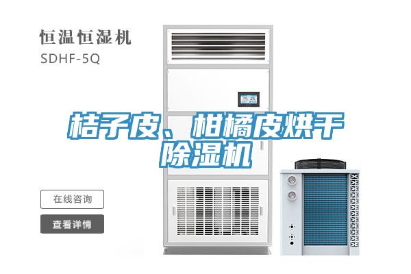桔子皮、柑橘皮烘干除濕機(jī)