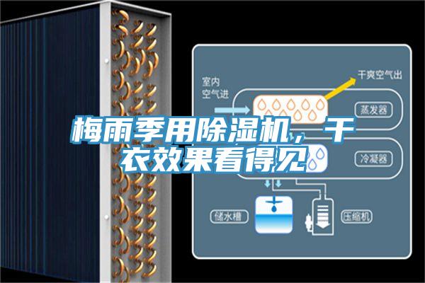 梅雨季用除濕機(jī)，干衣效果看得見