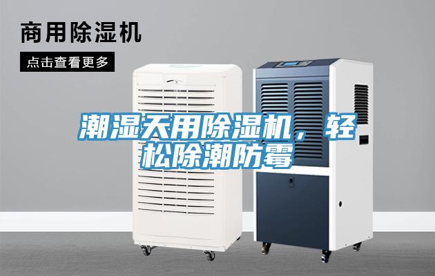 潮濕天用除濕機(jī)，輕松除潮防霉