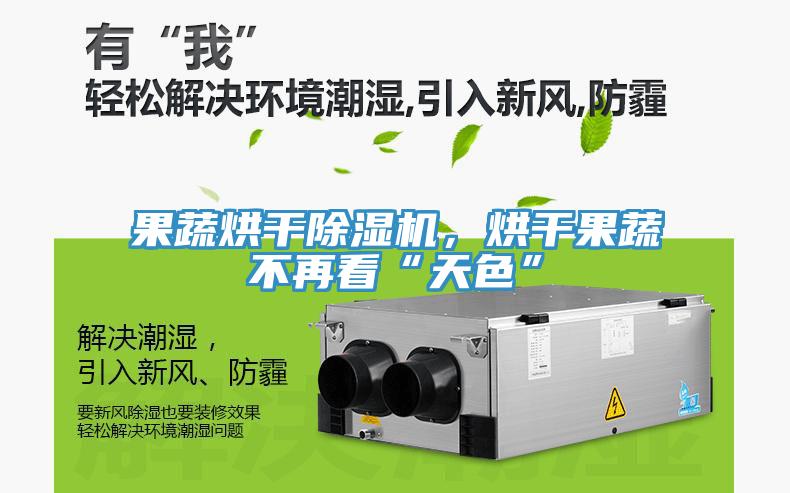 果蔬烘干除濕機，烘干果蔬不再看“天色”