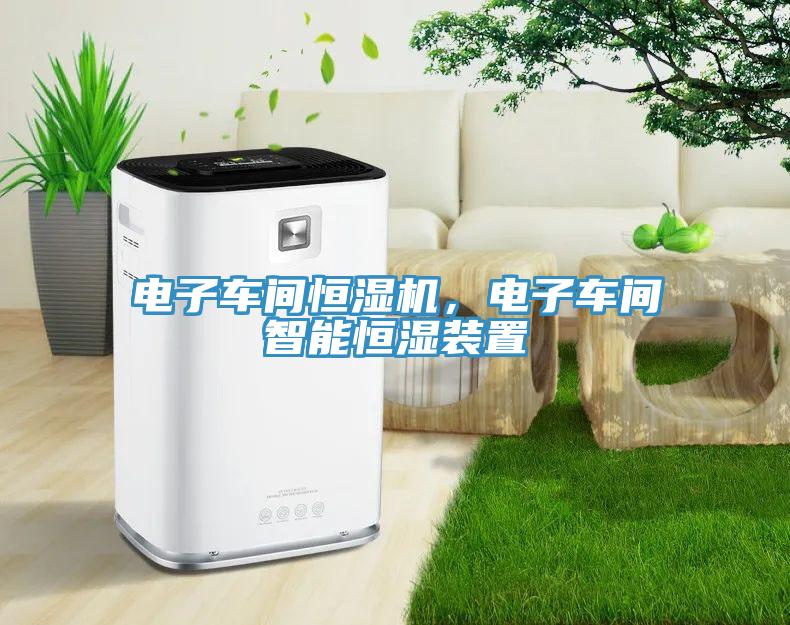 電子車間恒濕機(jī)，電子車間智能恒濕裝置