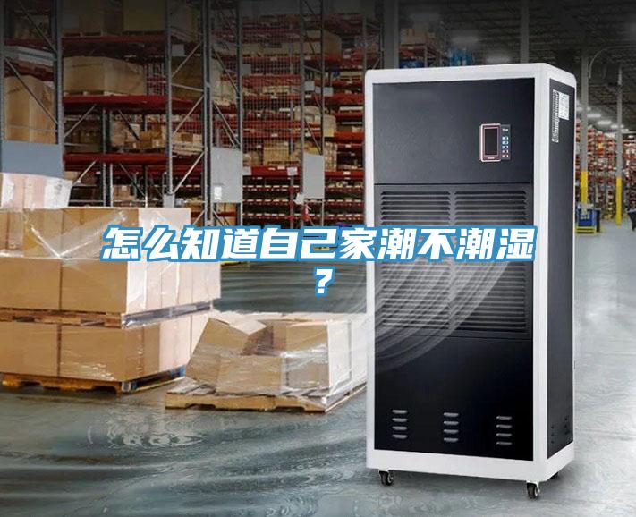 怎么知道自己家潮不潮濕？