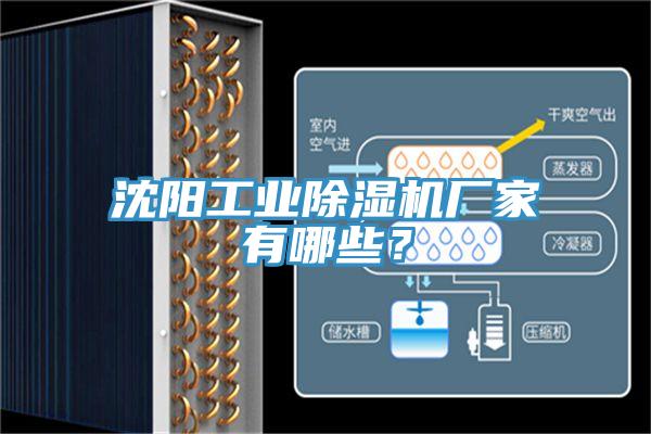 沈陽工業(yè)除濕機(jī)廠家有哪些？