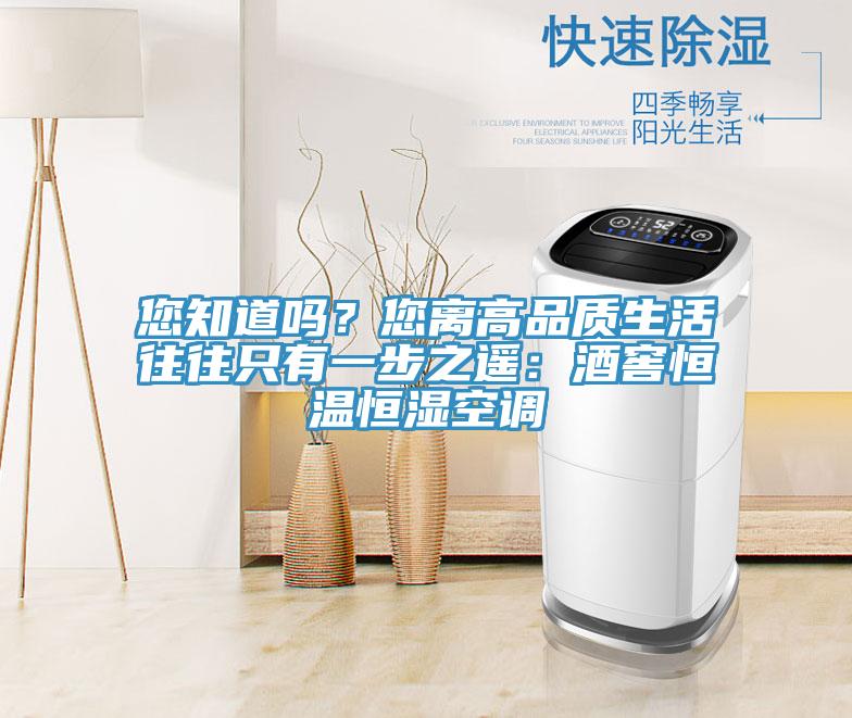 您知道嗎？您離高品質(zhì)生活往往只有一步之遙：酒窖恒溫恒濕空調(diào)