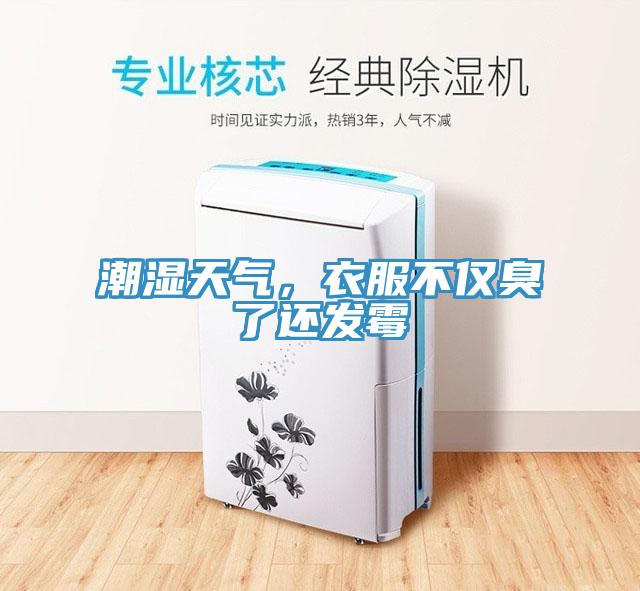 潮濕天氣，衣服不僅臭了還發(fā)霉