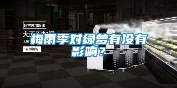 梅雨季對綠蘿有沒有影響？