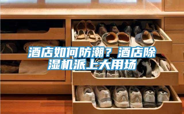酒店如何防潮？酒店除濕機派上大用場