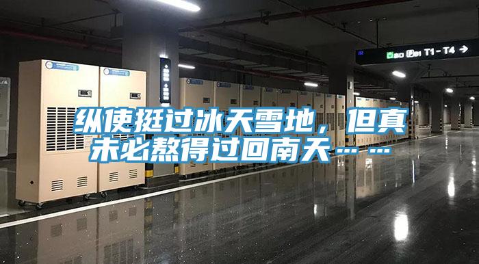 縱使挺過冰天雪地，但真未必熬得過回南天……