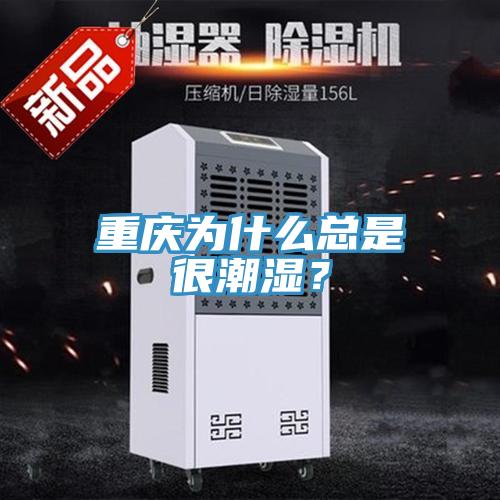 重慶為什么總是很潮濕？