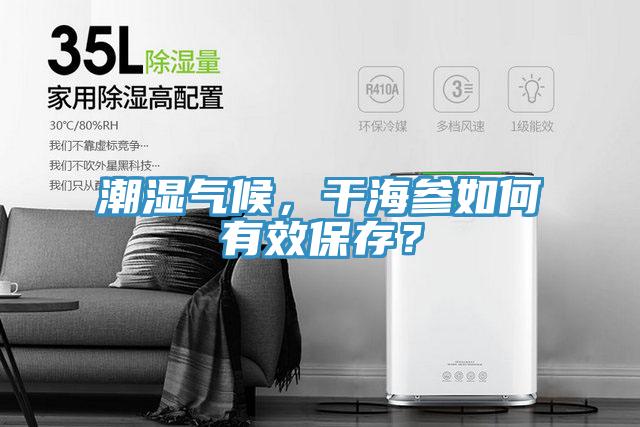 潮濕氣候，干海參如何有效保存？