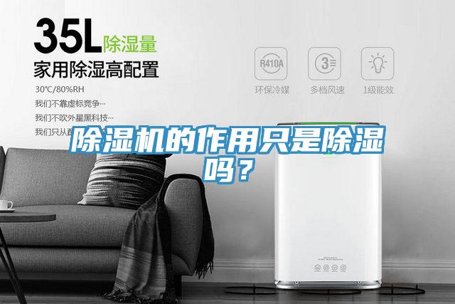 除濕機(jī)的作用只是除濕嗎？