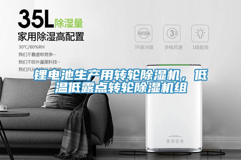 鋰電池生產(chǎn)用轉(zhuǎn)輪除濕機，低溫低露點轉(zhuǎn)輪除濕機組