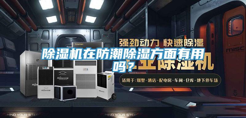 除濕機(jī)在防潮除濕方面有用嗎？
