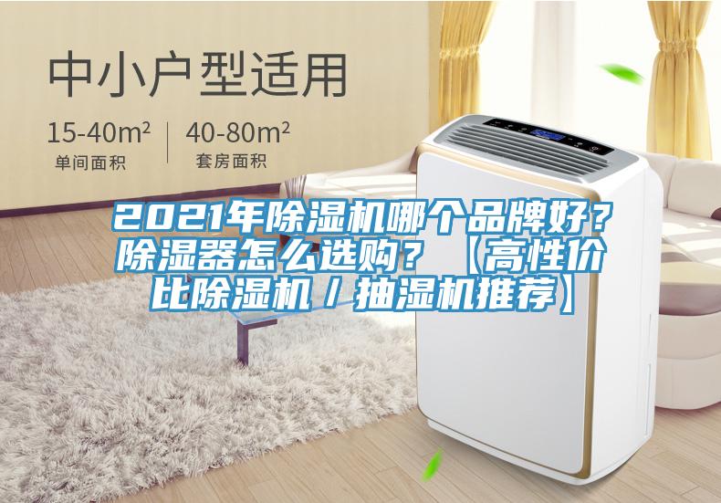2021年除濕機哪個品牌好？除濕器怎么選購？【高性價比除濕機／抽濕機推薦】