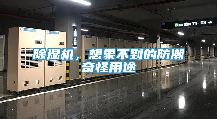 除濕機(jī)，想象不到的防潮奇怪用途