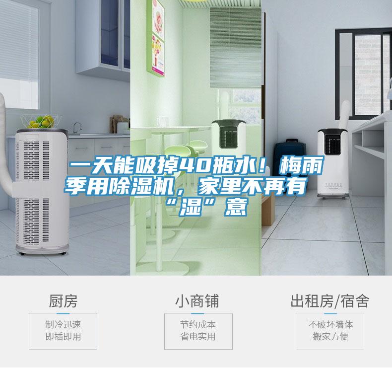 一天能吸掉40瓶水！梅雨季用除濕機，家里不再有“濕”意