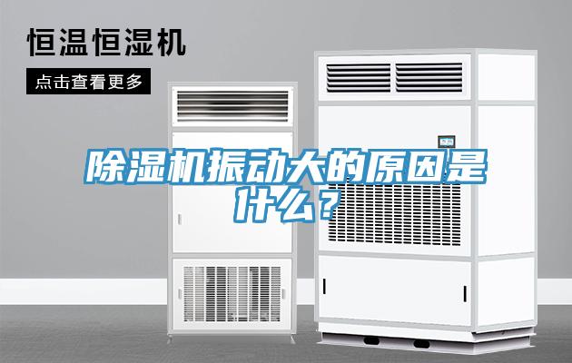 除濕機(jī)振動(dòng)大的原因是什么？