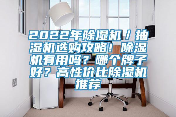 2022年除濕機／抽濕機選購攻略！除濕機有用嗎？哪個牌子好？高性價比除濕機推薦