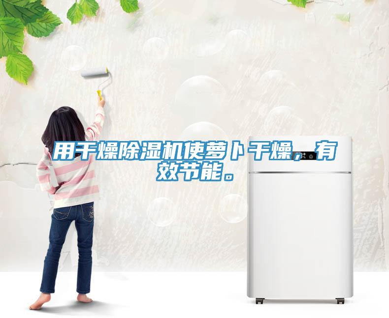 用干燥除濕機使蘿卜干燥，有效節(jié)能。