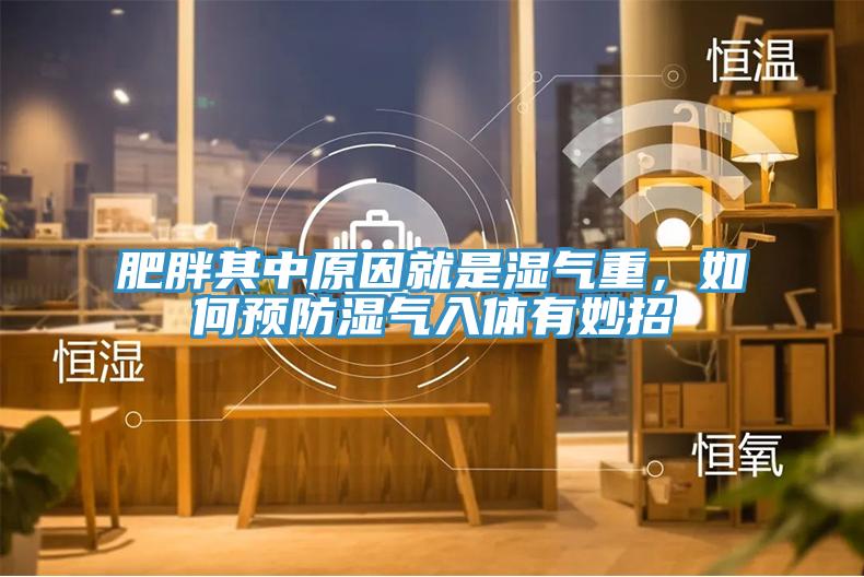 肥胖其中原因就是濕氣重，如何預(yù)防濕氣入體有妙招