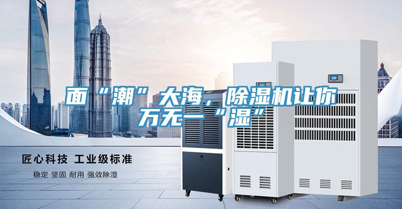 面“潮”大海，除濕機讓你萬無一“濕”