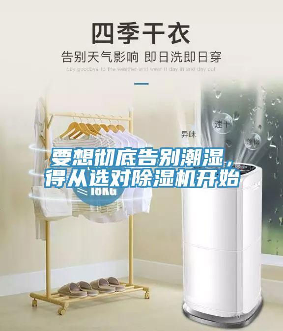 要想徹底告別潮濕，得從選對除濕機開始