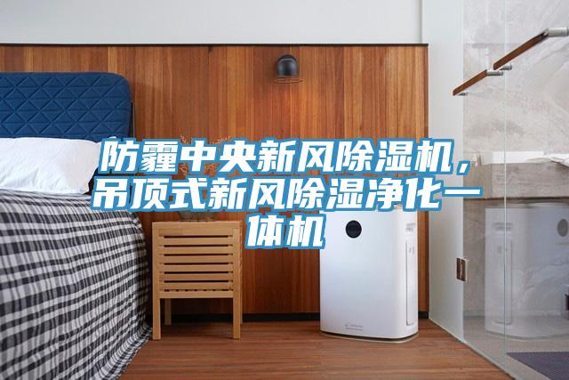 防霾中央新風(fēng)除濕機(jī)，吊頂式新風(fēng)除濕凈化一體機(jī)