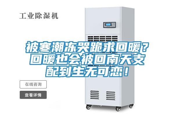 被寒潮凍哭跪求回暖？回暖也會被回南天支配到生無可戀！