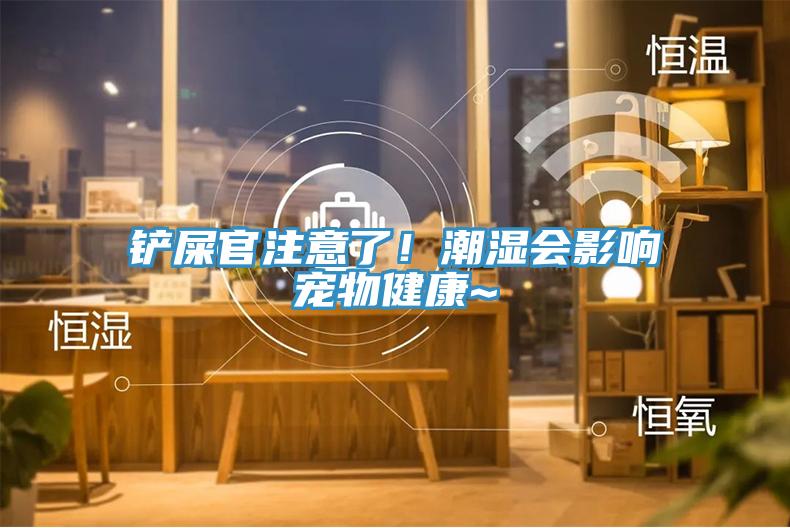 鏟屎官注意了！潮濕會(huì)影響寵物健康~