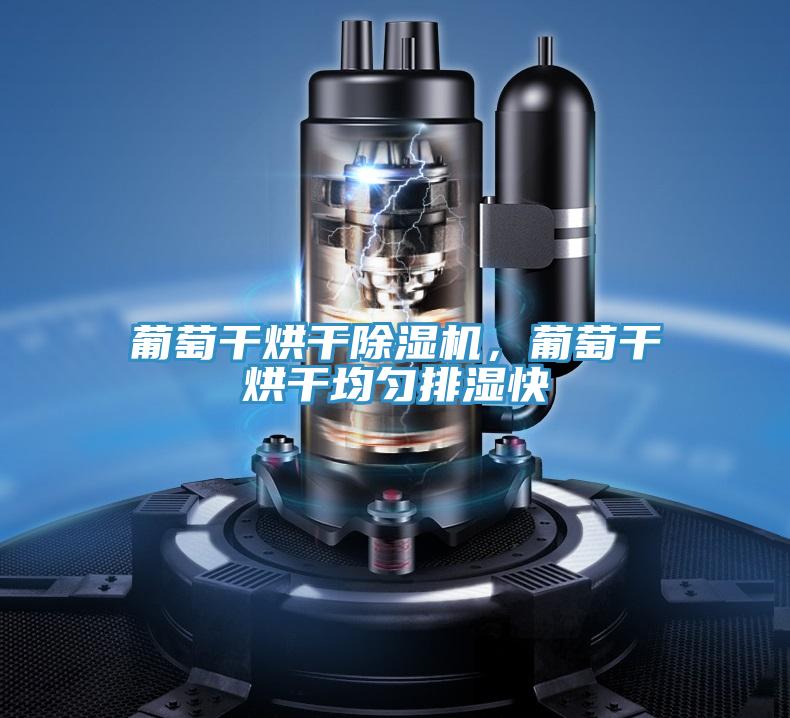 葡萄干烘干除濕機(jī)，葡萄干烘干均勻排濕快