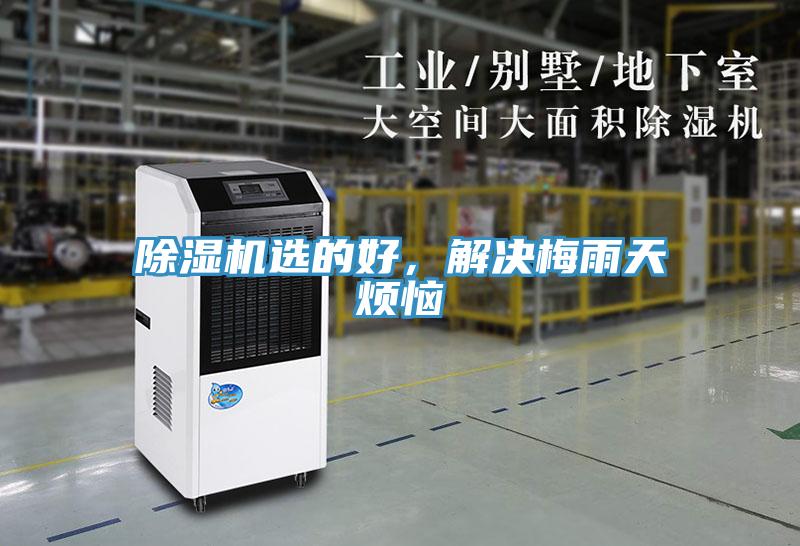 除濕機選的好，解決梅雨天煩惱