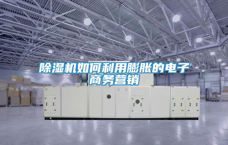 除濕機(jī)如何利用膨脹的電子商務(wù)營銷