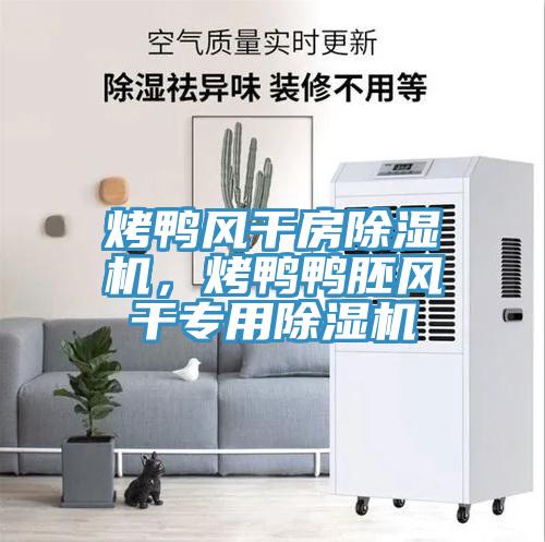 烤鴨風(fēng)干房除濕機(jī)，烤鴨鴨胚風(fēng)干專用除濕機(jī)