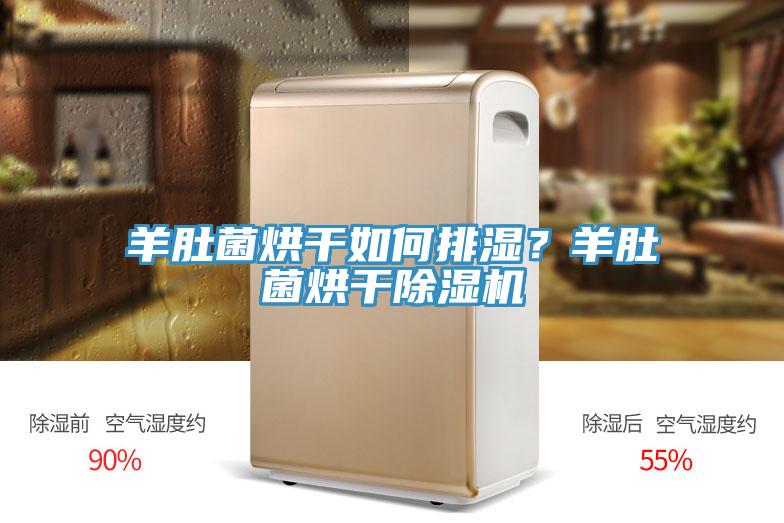 羊肚菌烘干如何排濕？羊肚菌烘干除濕機(jī)