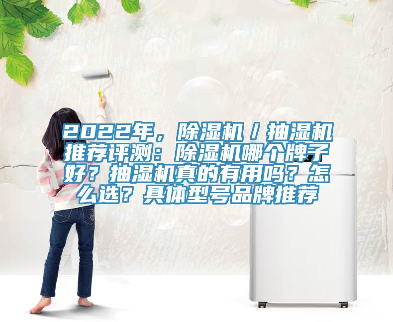 2022年，除濕機／抽濕機推薦評測：除濕機哪個牌子好？抽濕機真的有用嗎？怎么選？具體型號品牌推薦