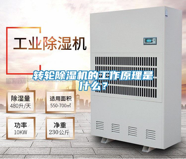 轉(zhuǎn)輪除濕機(jī)的工作原理是什么？