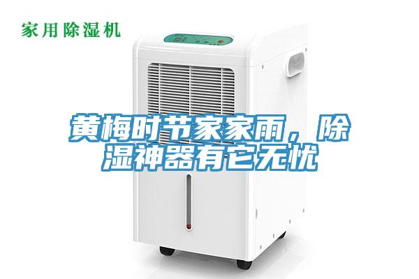 黃梅時節(jié)家家雨，除濕神器有它無憂