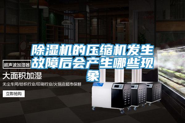 除濕機(jī)的壓縮機(jī)發(fā)生故障后會產(chǎn)生哪些現(xiàn)象