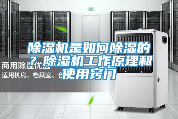 除濕機是如何除濕的？除濕機工作原理和使用竅門