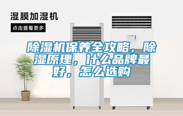 除濕機(jī)保養(yǎng)全攻略，除濕原理，什么品牌最好，怎么選購(gòu)